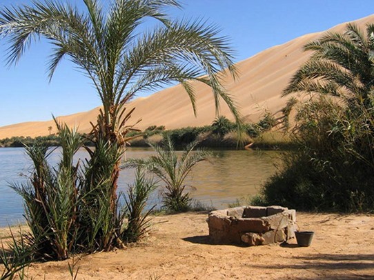 oasis-egypt