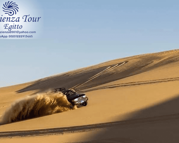 Pazienza tour egitto Safari