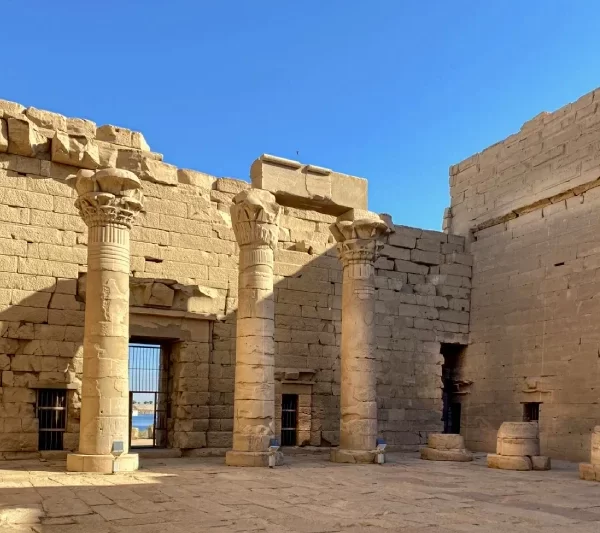 pazienza toure gitto